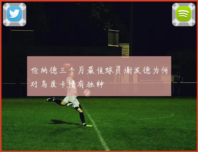 伦纳德三个月最佳球员谢泼德为何对乌度卡情有独钟